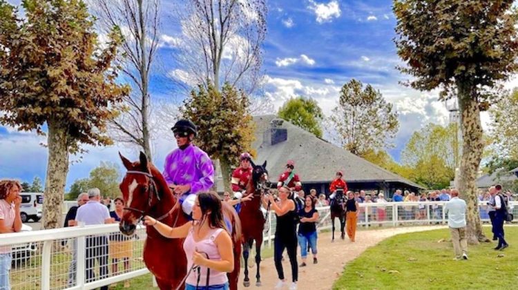 MOTION – Le Grand Tarbes au soutien de la filière hippique et de l’hippodrome